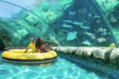 Aquatica San Antonio: Fast Track Ticket