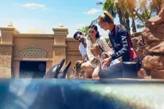 Aquaventure: Entry Ticket + Atlas Village Dolphin Meet and Greet
