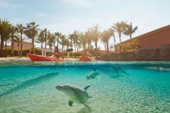 Aquaventure: Entry Ticket + Atlas Village Dolphin Paddle or Kayak