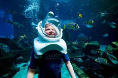 Aquaventure Waterpark: Entry Ticket + Aquarium + Shark Snorkel or Safari