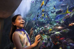 Aquaventure Waterpark: Entry Ticket + Aquarium