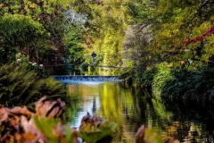 Avoca Mount Usher Gardens: Self Guided Experience