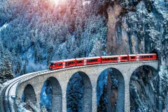 Bernina Red Train Experience from Milan