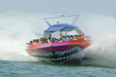Boston Harbor: Codzilla Thrill Boat Ride
