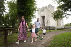 Bunratty Castle & Folk Park: Entry Ticket