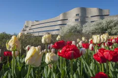 Canadian Museum of History: Skip The Line Ticket