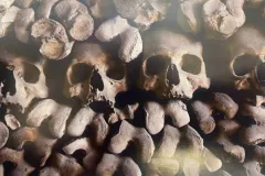 Capuchin Crypt: Reserved Entrance + Audio Guide