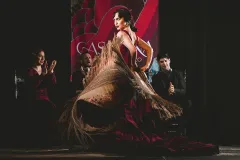 Casa Ana Granada: Traditional Flamenco Show