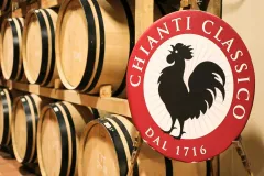 Chianti Region: Day Trip from Florence + Vineyard Tour