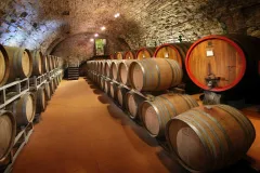 Chianti Region: Day Trip from Florence + Wine Estate Visit