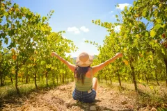 Chianti Vineyards: Half-Day Tour from Florence with Wine Tastings