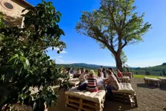 Chianti: Wine Estates Tour With Tastings + Afternoon Day Trip From Florence
