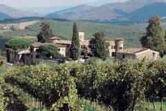 Chianti: Wine & Olive Oil Tasting with Guided Tour + Roundtrip from Florence