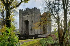 Cliffs of Moher, Bunratty Castle & Ennis Town: Day Tour from Dublin