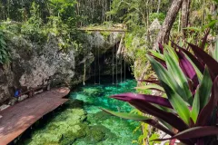 Cobá Ruins & Cenote Mariposa: Guided Tour, Transfer + Lunch