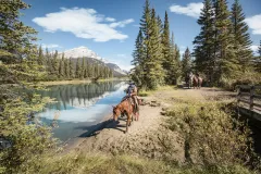 Cowboy Cookout: Wagon Ride from Banff
