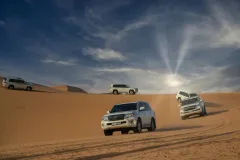 Desert Evening Safari + BBQ Dinner