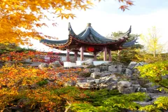 Dr. Sun Yat-Sen Chinese Garden: Entry Ticket + Guided Tour Option