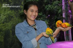 Dubai Dolphinarium: Creek Park Exotic Bird Show