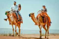 Dubai: Evening Desert Safari + BBQ Dinner