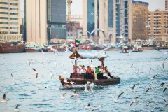 Dubai: Half-Day City Tour + Evening Desert Safari + BBQ Dinner at Al Khyama Camp