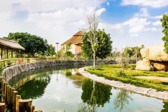 Dubai Safari Park: Entry Ticket