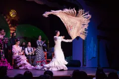 El Palacio Andaluz Sevilla Flamenco Show With Glass of Cava or Dinner