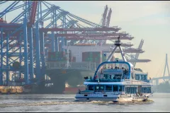Elphi Plaza Guided Tour and Harbour Cruise