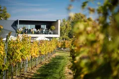 Esterházy Winery Experience