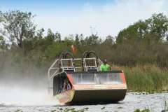 Everglades 60 min Airboat & Wildlife Show & Roundtrip Transport from Miami