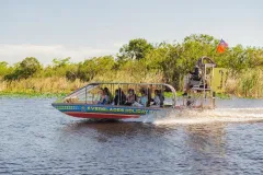 Everglades: Airboat Ride, Wildlife Show & Roundtrip Transport from Miami