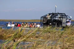 Everglades Express Tour from Fort Lauderdale + Airboat Ride