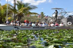 Everglades Express Tour from Miami + Airboat Ride