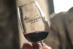 Fonseca Cellar & The Wine Experience: Tour + Tasting