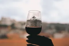 Fonseca Cellar & WOW Museum: Entry Ticket, Tour + Tasting