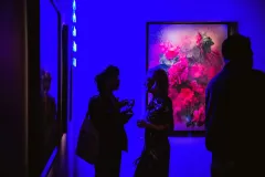 Fotografiska Museum Berlin: All Exhibitions & Spaces Access