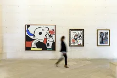 Fundació Miró Mallorca: Entry Ticket