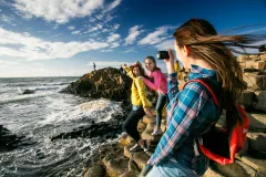 Giant's Causeway: Dark Edges Full Day Tour + Belfast City