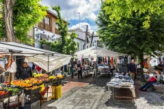 Granada: Albaicín and Sacromonte Guided Tour
