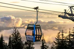 Grouse Mountain & Capilano Suspension Bridge Park: Guided Tour