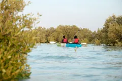 Guided Kayak Tour in the Mangroves