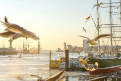 Hamburg City Pass: Your All-Inclusive Pass