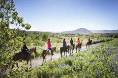 Horseback Riding with Icelandic Horses through the Lava Fields of Hafnarfjörður