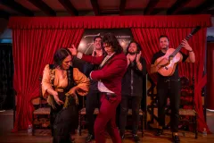 Jardines de Zoraya: Flamenco Show