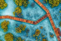 Jubail Mangrove Park: Boardwalk Experience Tour