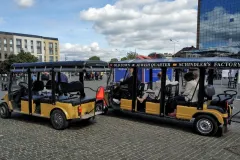 Kazimierz Quarter Krakow: Electric Golf Cart Tour + Audio Guide
