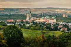 Klosterneuburg Abbey: Guided Wine Cellar Tour & Tasting