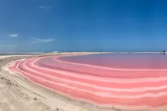 Las Coloradas: Safari Day Tour with Lunch from Cancún