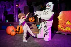 LEGOLAND® Discovery Center Chicago: Entry Ticket