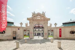 Lower Belvedere Palace: Entry Ticket